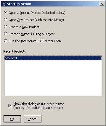 startup-action1.jpg (17507 bytes)